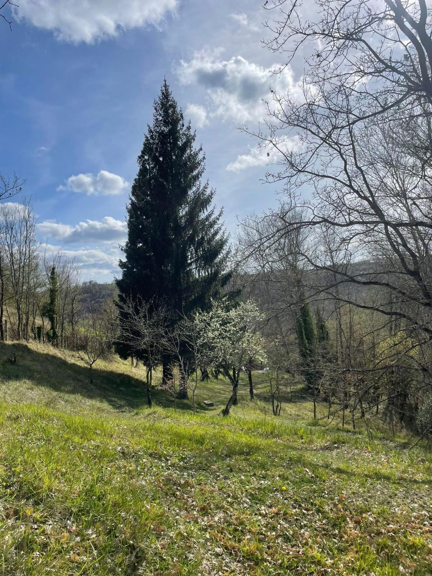 Il Casale Di Bruno E Pina Landhuis Pantano